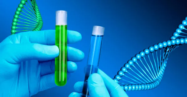 tip-dunyasini-saskina-ceviren-dna-testi-oz-kizinin-hem-annesi-hem-dayisi-cikti-iste-nedeni-1669806501971.jpg Tıp dünyasını şaşkına çeviren DNA testi! Öz kızının hem annesi hem dayısı çıktı: İşte nedeni...-5