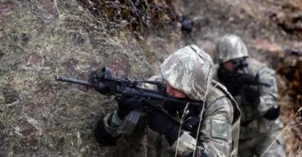Başına 1 milyon TL ödül koyulan terörist öldürüldü