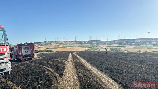 Anız yakma, yaktırma! Tarım ve Orman Bakanı İbrahim Yumaklı'dan çiftçiye 'yangın' uyarısı: Hasatta sigara içme, tarlada çay demleme - 14