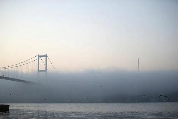 İstanbul'da yoğun sis etkili oldu! Boğaz, transit gemi geçişine kapatıldı-6