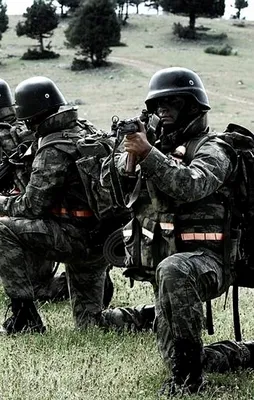 Şırnak'ta PKK'ya darbe üstüne darbe