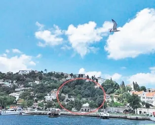 ’Koç’aman tepki