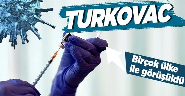 Yerli aşı ne zaman çıkacak?