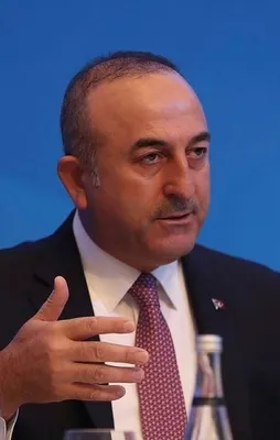 Bakan Çavuşoğlu Ermeni vekile haddini bildirdi