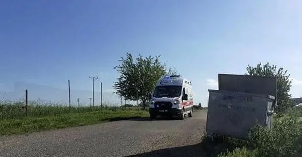 Diyarbakır'da inekler tarlaya girdi taşlı sopalı kavga çıktı!