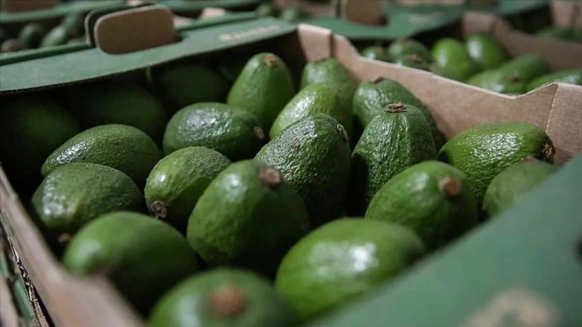 Avokado kolesterole birebir