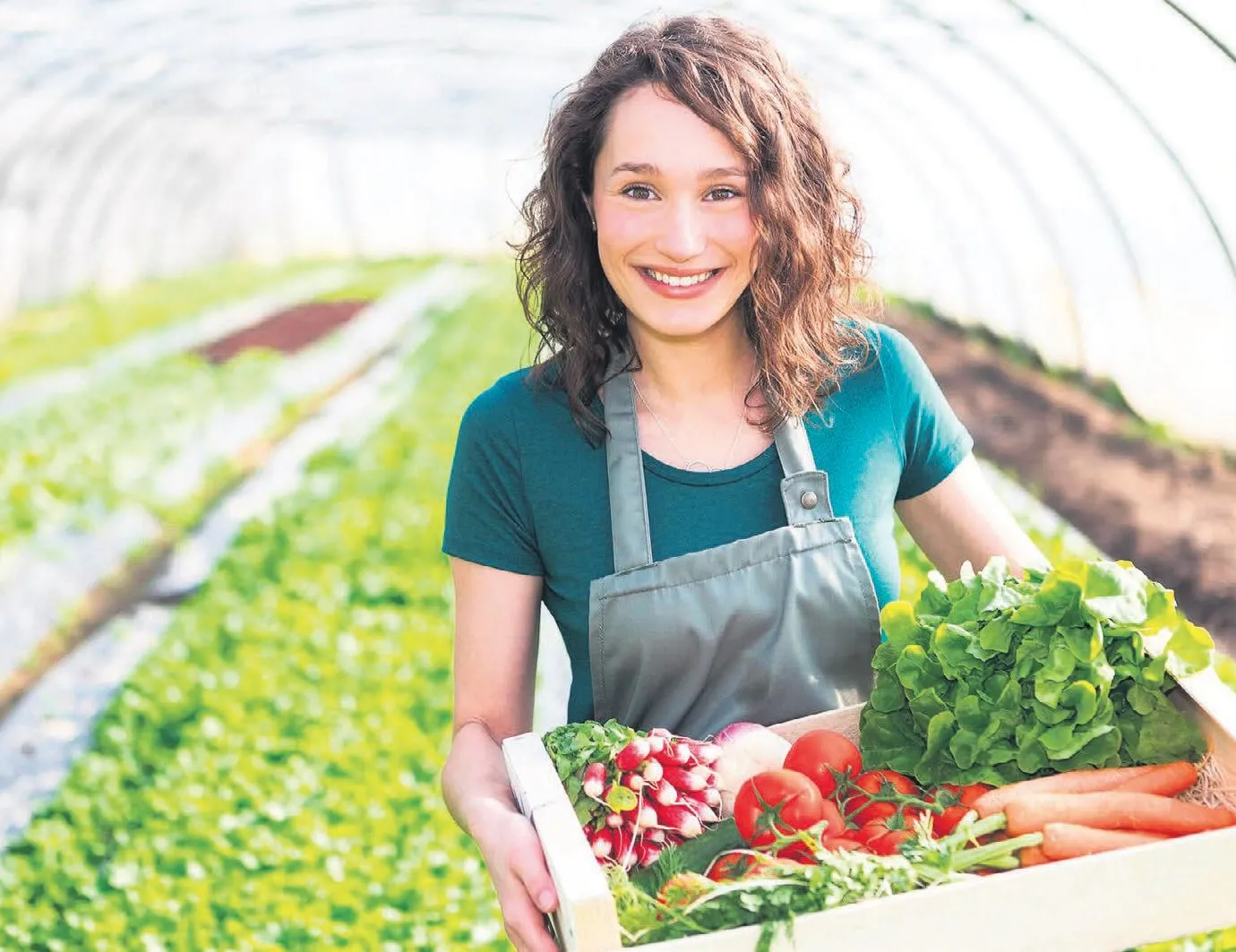 Tarımda gelire sigorta