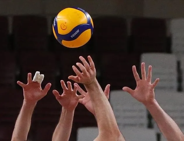 Efeler Almanya’ya teslim