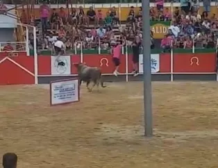 Tribüne atlayan boğa 17 kişiyi yaraladı