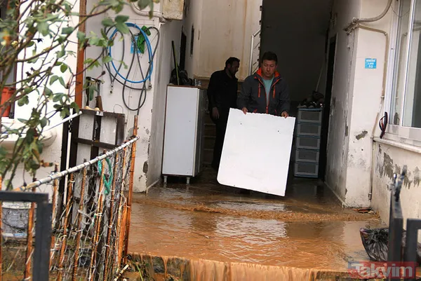 Muğla Bodrum'da hep aynı manzara! Evleri su bastı, sokak hayvanları boğuldu - 11