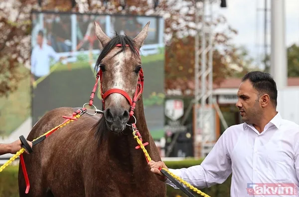 14 at toplamda 4 milyon 640 bin liraya satıldı - 2