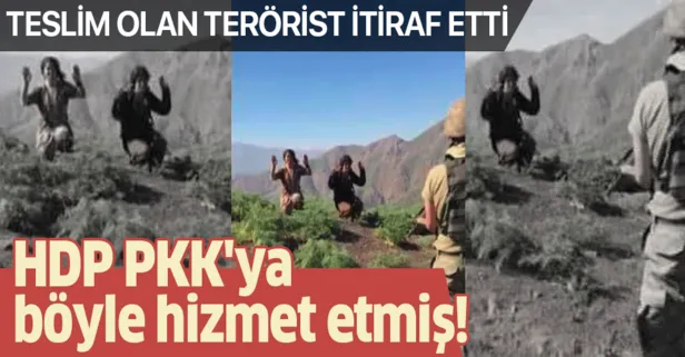 Teslim olan PKK'lı terörist itiraf etti! HDP PKK'ya böyle hizmet etmiş