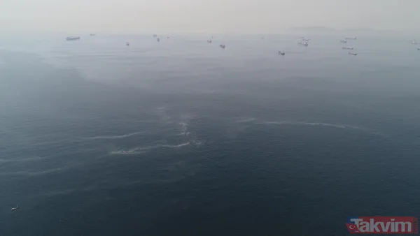 Müsilaj kabusu geri döndü! İstanbul'da müsilaj her geçen dakika artıyor - 10