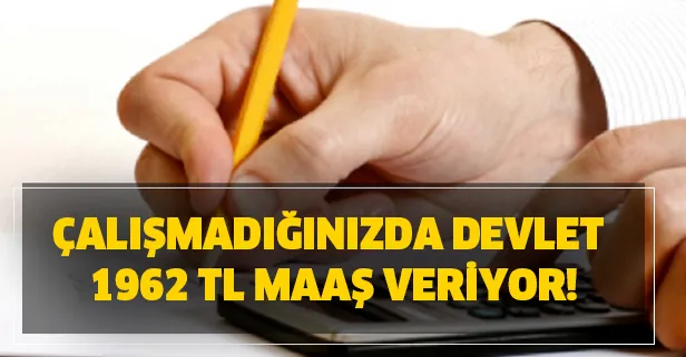 Çalışmadığınızda devlet 1962 tl maaş veriyor! Milyonlara büyük müjde geldi!