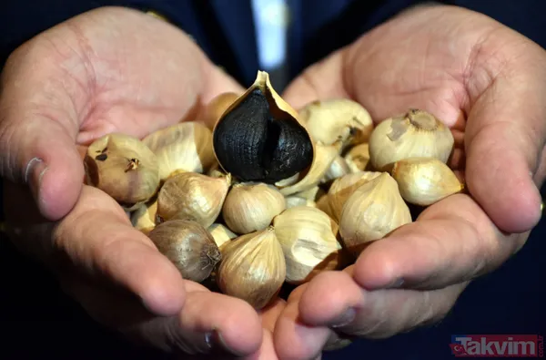 Kilosu 25 lira olan Taşköprü sarımsağı siyaha dönünce 34 bin TL oluyor - 1