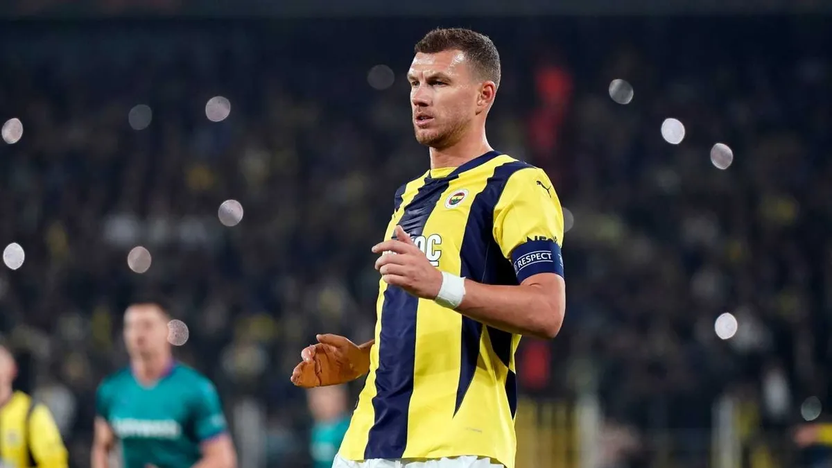 Edin Dzeko Schalke 04'te!
