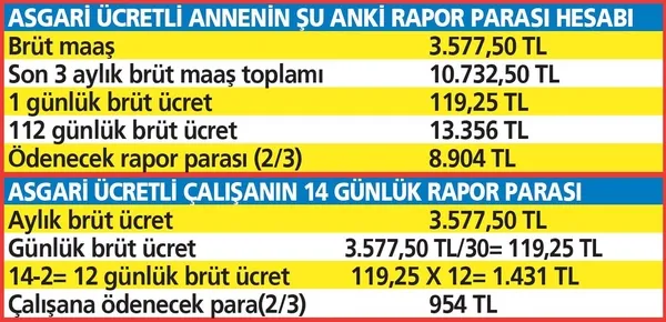 Rapor parasına yıllık hesap! Asgari ücretin iki katı olabilecek - 14