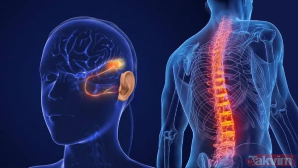 Kronik ağrı beyni değiştiriyor: Sıradan sesler bile daha yoğun algılanıyor - 1