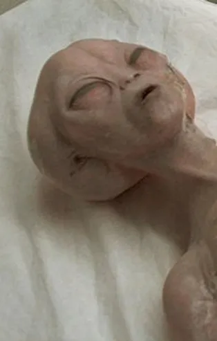 NASA harekete geçti! Yeni ekip kuruldu