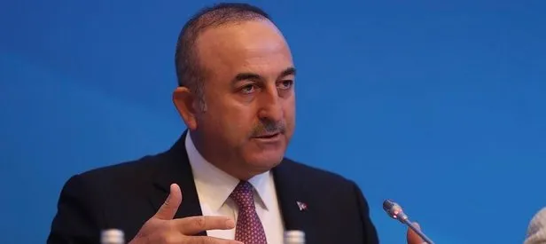 Bakan Çavuşoğlu Ermeni vekile haddini bildirdi