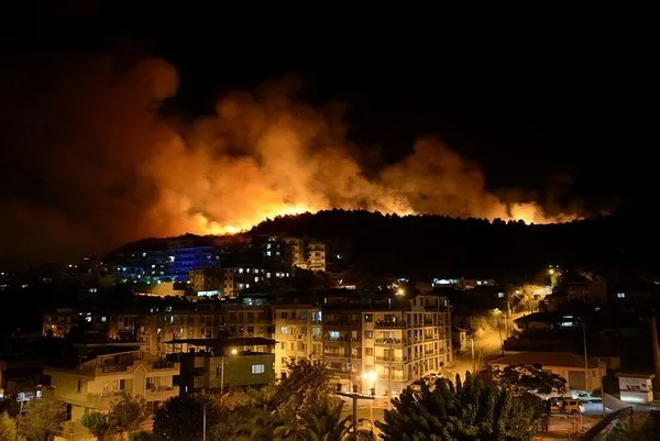 İzmir'de otluk alanda yangın çıktı! 1 kişi gözaltında-2