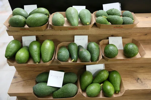 tanesi-15-tlye-kadar-satiliyor-turkiyede-avokado-uretimi-8-bin-tona-cikti-1638869765751.jpg Tanesi 15 TL'ye kadar satılıyor! Türkiye'de avokado üretimi 8 bin tona çıktı-5