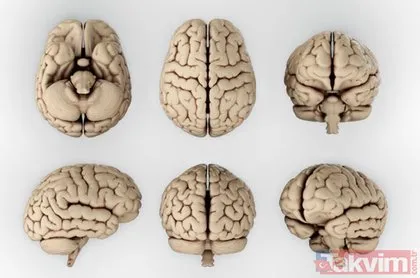 Dikkat bu alışkanlıklar beyni yaşlandırıyor! Sağlıklı bir beyin için 13 altın kural...