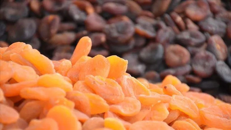 kuru-kayisi-yeni-ihracat-sezonuna-37-milyon-dolarla-hizli-basladi-1725524136131.jpeg Kuru kayısı yeni ihracat sezonuna 37 milyon dolarla hızlı başladı-2