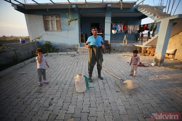 Günlük 900 lira kazanıyorlar! Türkiye'nin birçok ilinden toplanan kurbağalar Avrupa'ya ihraç ediliyor - 3