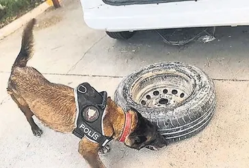 ’Llinda’dan kaçmadı