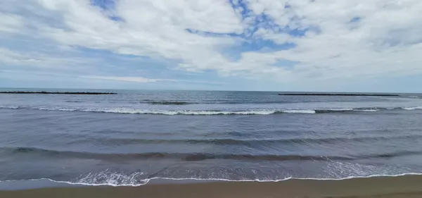 son-dakika-marmara-denizinden-sonra-karadenizde-de-musilaj-deniz-salyasi-goruldu-uzmanlar-uyardi-boyle-giderse-kaplanir-1623048488418.jpg SON DAKİKA: Marmara Denizi'nden sonra Karadeniz'de de müsilaj (deniz salyası) görüldü! Uzmanlar uyardı: Böyle giderse kaplanır-6