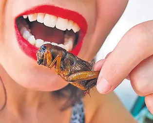 Eda Taşpınar ne yiyeceğini şaşırdı! Salyangoz, karınca, yılandan sonra çekirge de yedi...