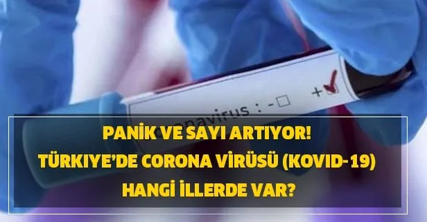 Vaka sayısı artıyor... Türkiye’de corona virüsü Kovid-19 hangi illerde var?
