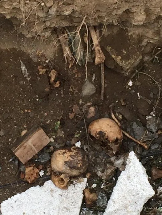 Aydın Nazilli'de heyelan sonrası inşaat temelinden kafatası ve kemikler çıktı-4