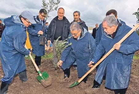 Soma’ya 60 bin fidan