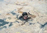 Türkiye, Marmara Denizi için seferberlik ilan etti: Dalgıç Mehtap Çiftçi de derinlerdeki tehlikeye dikkat çekti