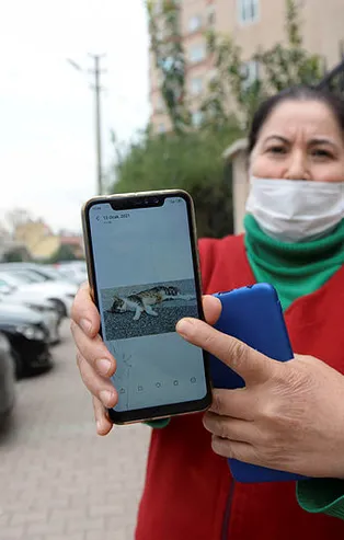 Mersin'de kan donduran olay! Telefonu çıkarıp gösterdi: Her sokakta ölüler var
