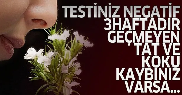 koronavirus hastalarinda tat ve koku