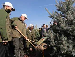 İşte algılara karşı gerçekler! Türkiye'nin orman varlıkları 19 yılda yüzde 10,5 arttı