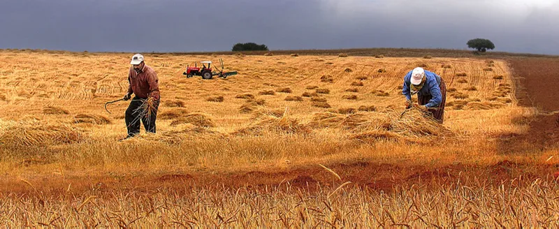 Tarımda 150 milyar dolarlık hamle - 3