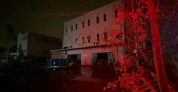 Kocaeli'de etiket fabrikasında yangın