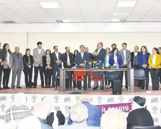 HDP kutlamasına terör soruşturması