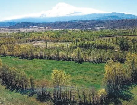 Kısa müracaat süresine kaçıran vatandaşlar için ’2B için yeni başvuru şansı’
