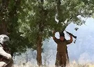 PKKda çözülme sürüyor! 2 terörist daha teslim oldu