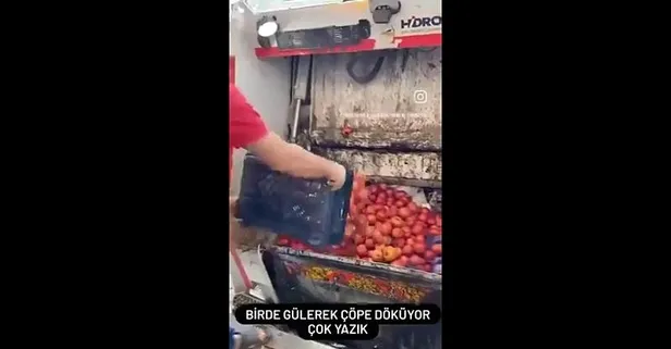 Ticaret Bakanlığı düğmeye bastı! Kasa kasa domatesleri çöpe döken işletmeye ağır ceza