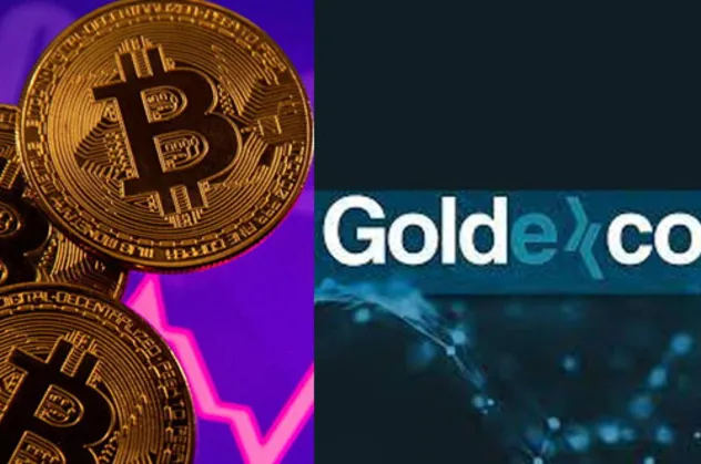 Thodex-Vebitcoin'in ardından Goldexco.in depremi: Goldexco.in battı mı? GLDX Token alım satımı durdu mu? Sahibi kim?