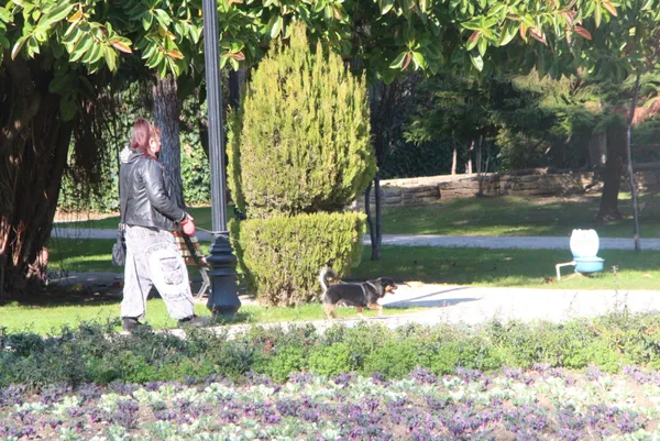 adanada-termometreler-32-dereceyi-gosterdi-6-subat-hava-durumu-1612618808969.jpg Adana'da termometreler 32 dereceyi gösterdi! 6 Şubat hava durumu-6