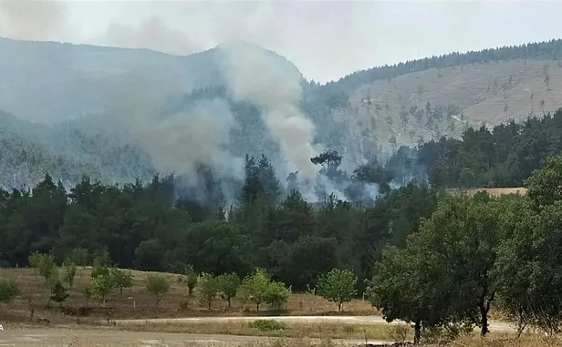 kutahya-tavsanlida-orman-yangini-havadan-karadan-mudahale-1659361543233.jpeg Kütahya Tavşanlı'da orman yangını! Havadan karadan müdahale...-1