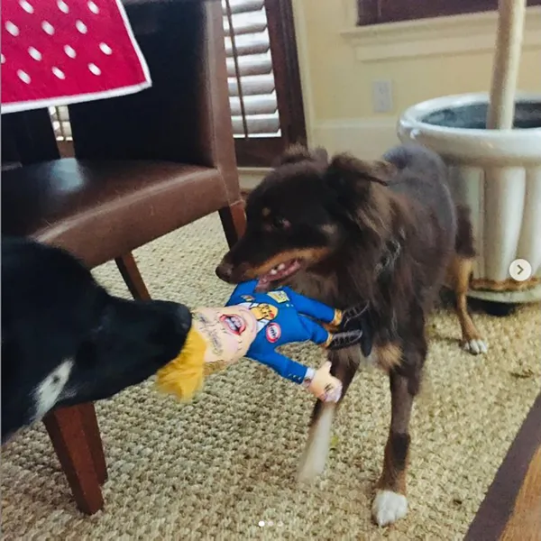 beyaz-sarayda-alman-krizi-saldirgan-davranislari-geri-adim-attirdi-1615278336845.jpg Beyaz Saray'da Alman krizi! Saldırgan davranışları geri adım attırdı-7