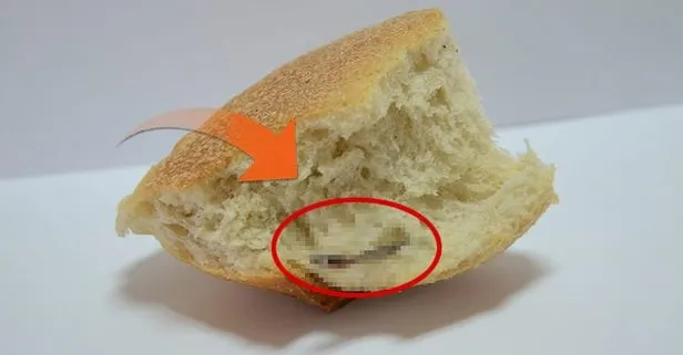 İğrenç haber! Ekmeğin içinden fare kuyruğu çıktı